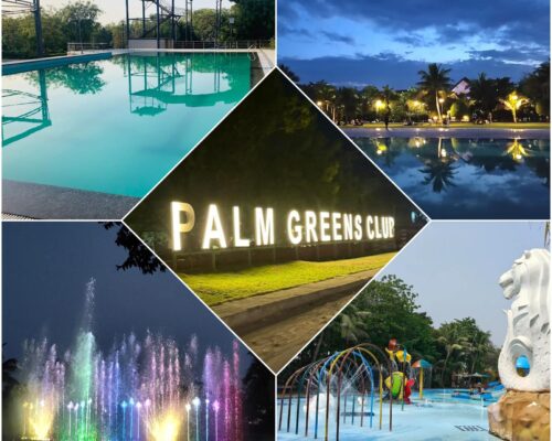 Palm 3